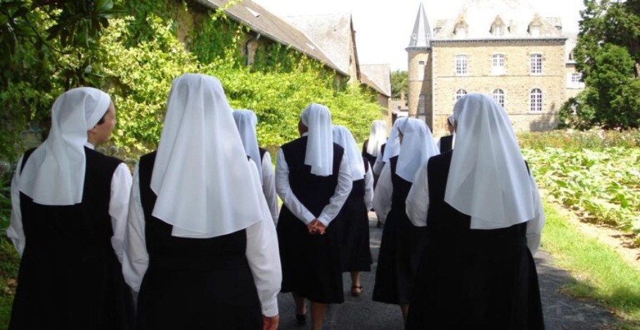 Novices au jardin