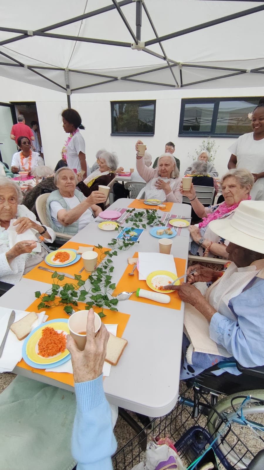 Personnes âgées assises autour d'une table et qui trinquent