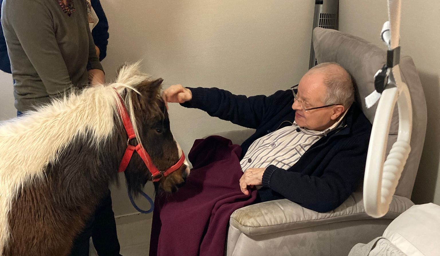Personne âgée avec un cheval