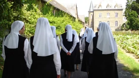 novices