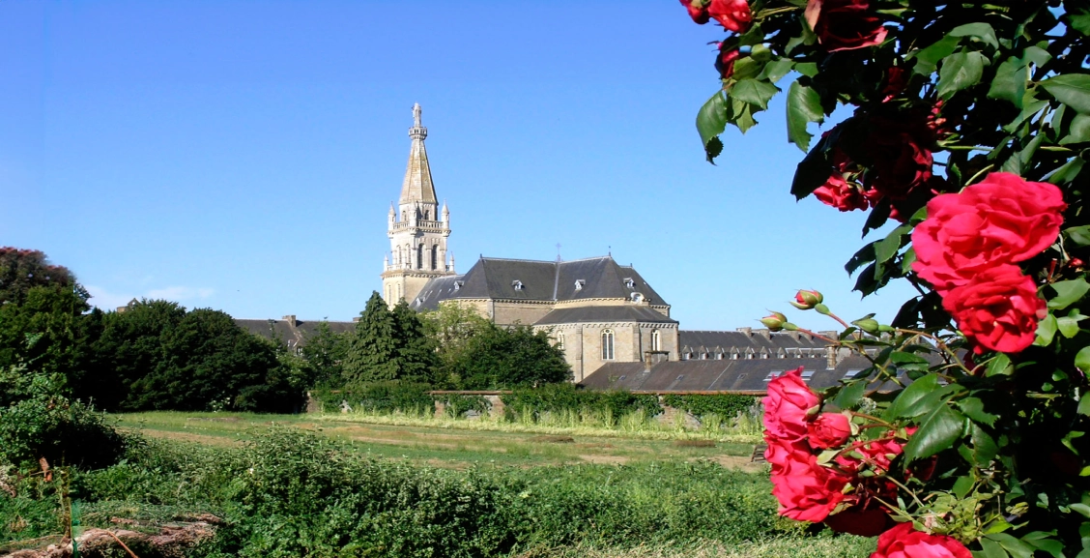 banner-maison-mere