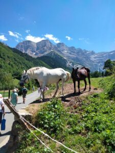 2024 Argeles Vacances Lourdes Pyrenees (6)