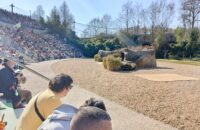 Personnes âgées au zoo de Beauval