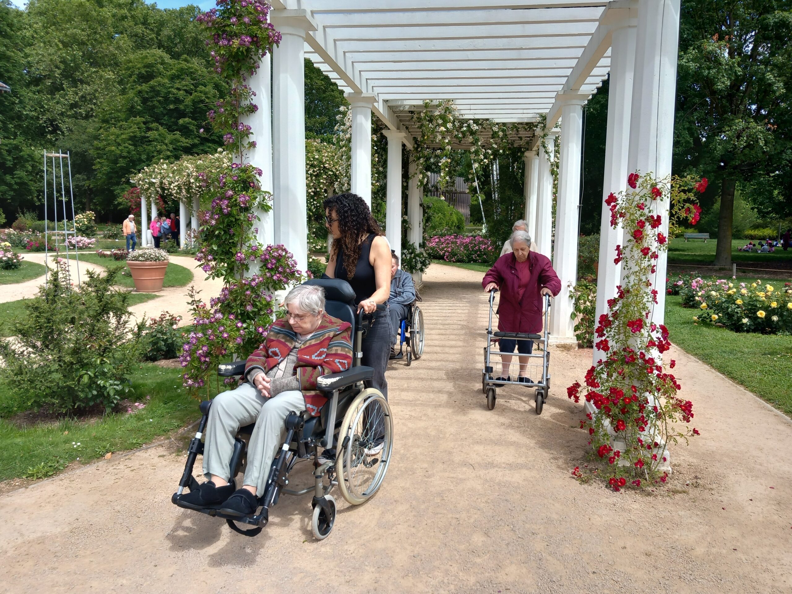 Personnes âgées qui se promènent dans un parc en fleurs