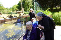 Personnes âgées au zoo avec des petites sœurs des pauvres au soleil