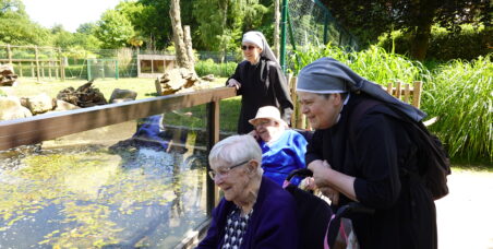 Personnes âgées au zoo avec des petites sœurs des pauvres au soleil