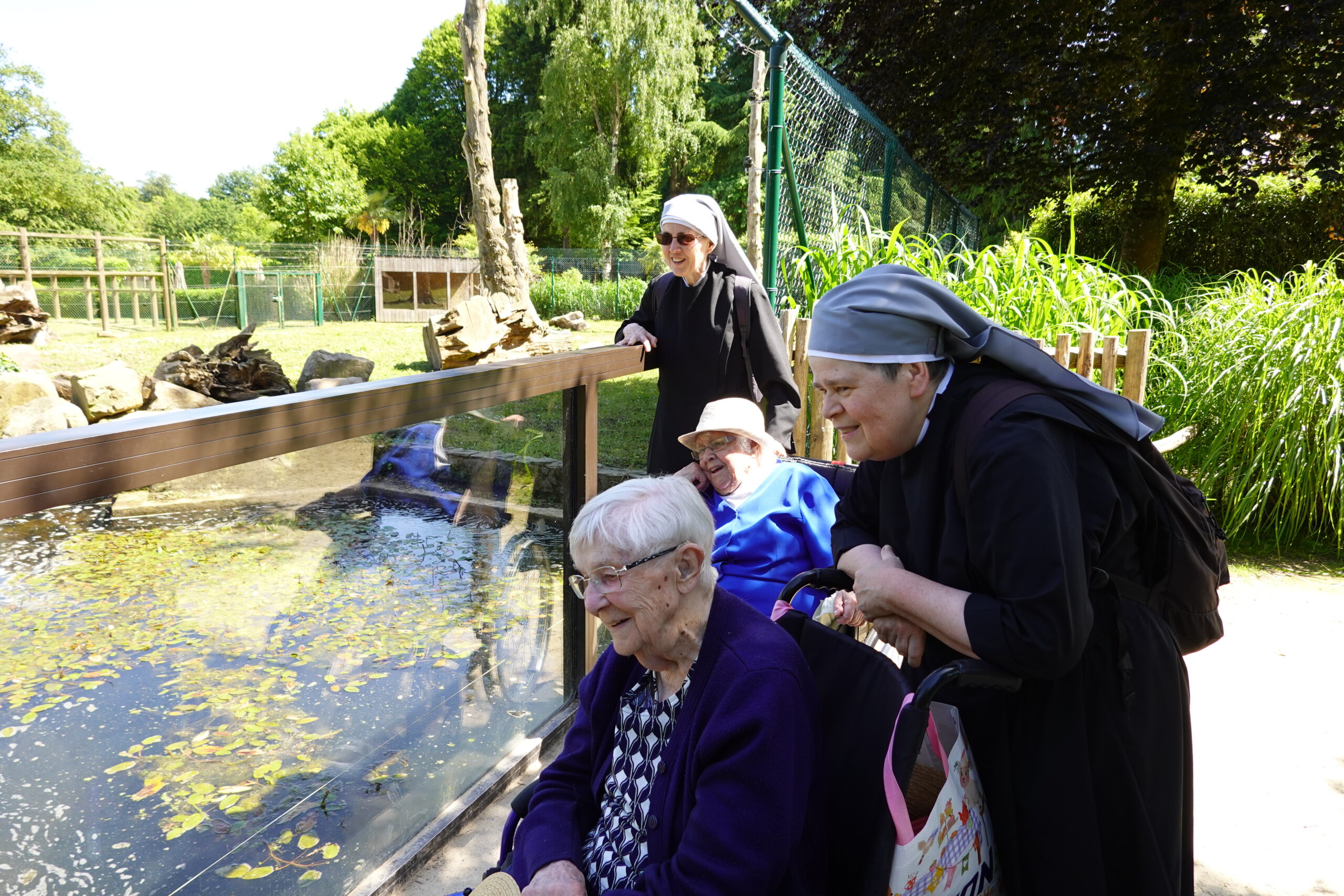Personnes âgées au zoo avec des petites sœurs des pauvres au soleil